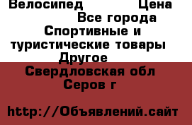 Велосипед Viva A1 › Цена ­ 12 300 - Все города Спортивные и туристические товары » Другое   . Свердловская обл.,Серов г.